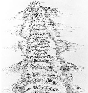 Image post by @drawingcenter on Instagram