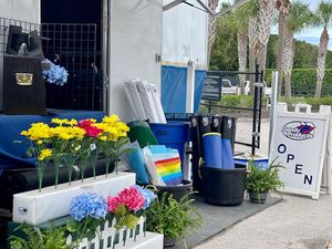 Image post by @dandyproducts on Instagram