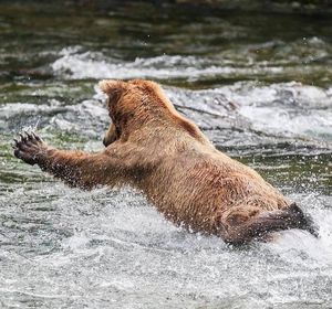 Image post by @nationalparkservice on Instagram