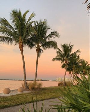 Image post by @visitsarasotacounty on Instagram