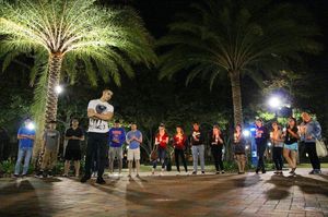 Image post by @thealligator_ on Instagram