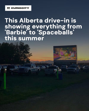 Image post by @curiocitycalgary on Instagram