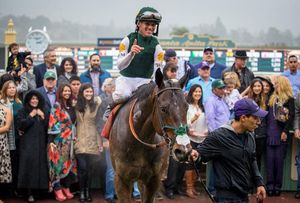 Image post by @spendthriftfarm on Instagram