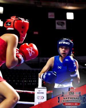 Image post by @usaboxing on Instagram