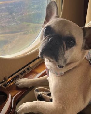 Image post by @wheelsup on Instagram