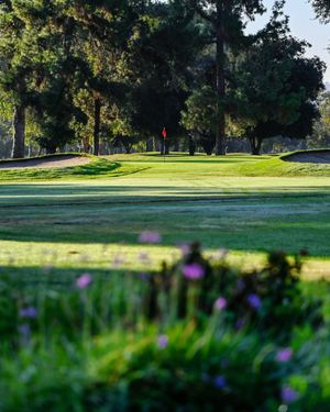 Image post by @pga on Instagram
