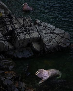 Image post by @natgeo on Instagram