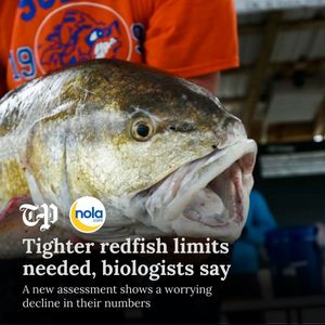 Image post by @nolanews on Instagram