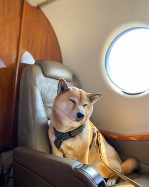 Image post by @wheelsup on Instagram
