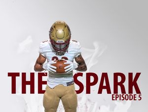 Image post by @elonfb on Instagram