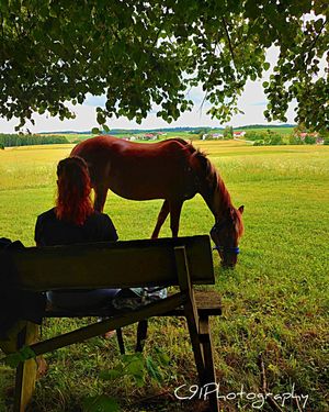 Image post by @c91photography on Instagram