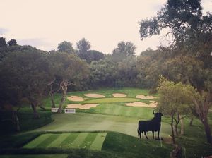 Image post by @alexlevygolf83 on Instagram
