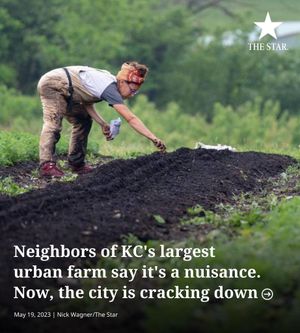 Image post by @thekansascitystar on Instagram