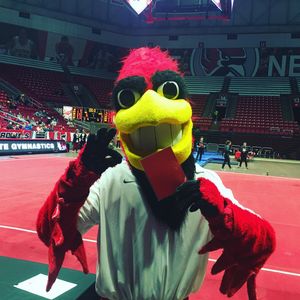 Image post by @ballstategym on Instagram