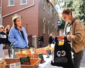 Image post by @collegeofcharleston on Instagram