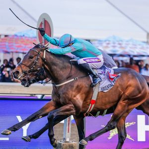 Image post by @worldhorseracing on Instagram