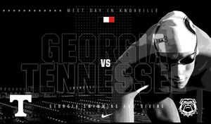 Image post by @ugaswimdive on Instagram