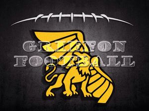 Image post by @griffonfootball on Instagram