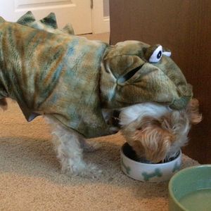 Image post by @kentuckythreedayevent on Instagram