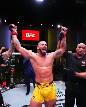 Image post by @ufc on Instagram