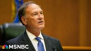 Video post by @msnbc on YouTube