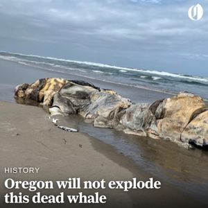 Image post by @theoregonian on Instagram