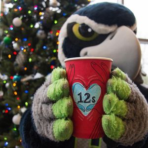 Image post by @blitztheseahawk on Instagram