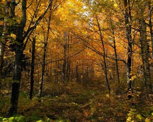 Image post by @nationalparkservice on Instagram