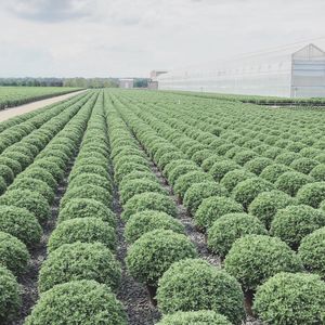Image post by @farmcredit on Instagram