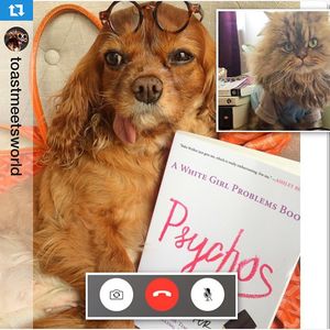 Image post by @gallerybooks on Instagram