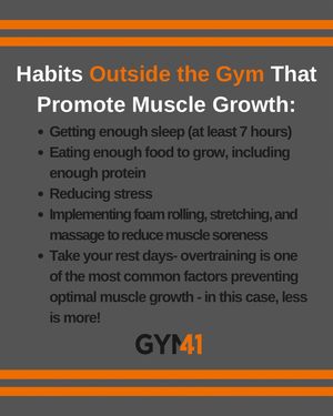 Image post by @gym41kw on Instagram