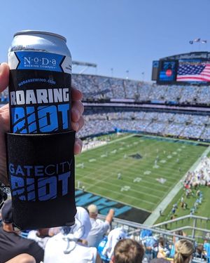 Image post by @roaringriot on Instagram