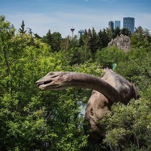 Image post by @cityofcalgary on Instagram