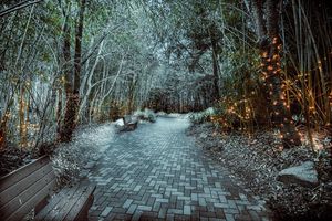 Image post by @jackportunephotography on Instagram