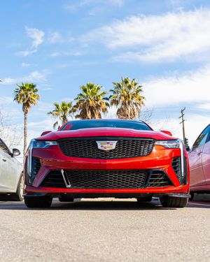 Image post by @dijonshotz on Instagram