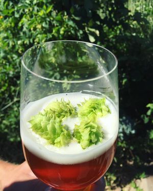 Image post by @sudwerkbrew on Instagram