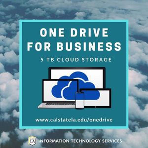 Image post by @mycalstatela on Instagram