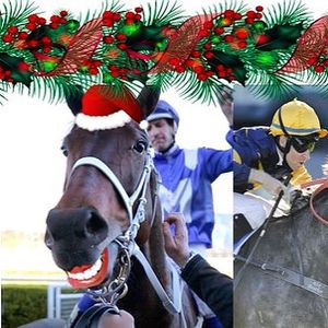 Image post by @australianturfclub on Instagram