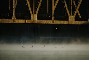 Image post by @pittsburghpg on Instagram
