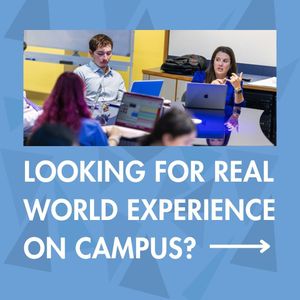 Image post by @theagencyqu on Instagram