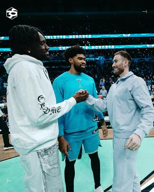 Image post by @hornets on Instagram