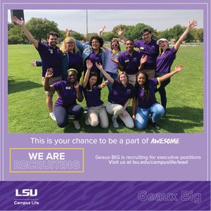 Image post by @lsucampuslife on Instagram