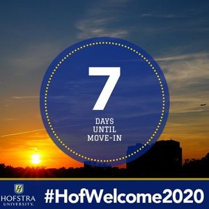 Image post by @hofstrau on Instagram