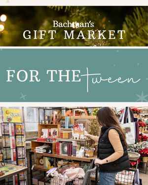 Image post by @shopbachmans on Instagram