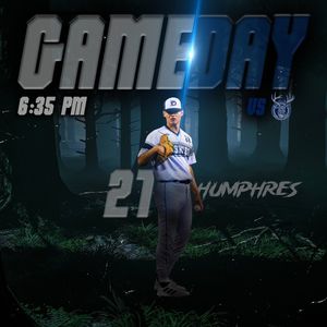 Image post by @duluthhuskies on Instagram