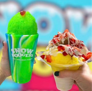 Image post by @snowboogers on Instagram