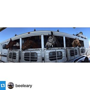 Image post by @fresnostateeq on Instagram