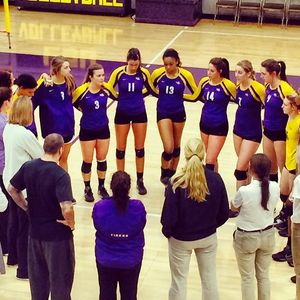 Image post by @lsuvolleyball on Instagram