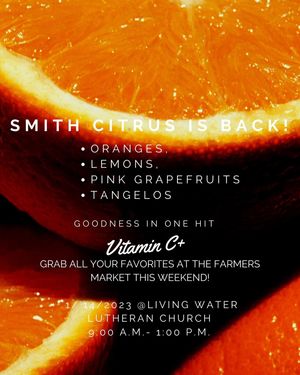 Image post by @fmnscottsdale on Instagram