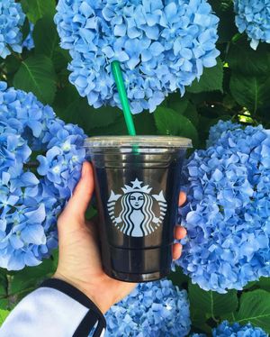 Image post by @starbucks on Instagram